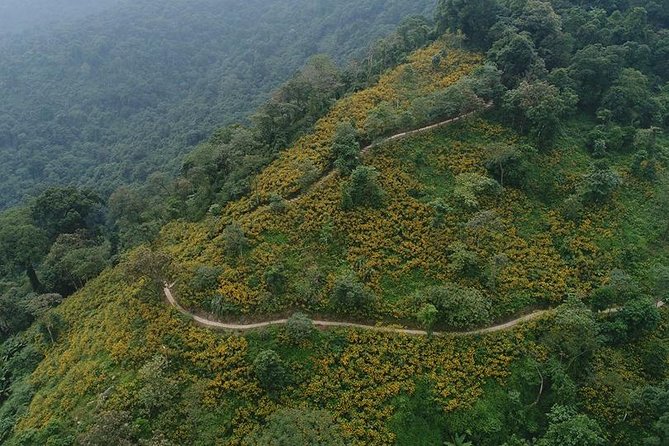 Ba Vi National Park Private Tour: Sightseeings & Jungle Hikking - Pine forest and the Bavi Church Ruins