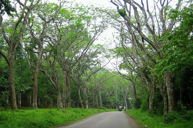 Ba Vi National Park Private Tour: Sightseeings & Jungle Hikking - Tan Vien Peak and Ba Vi’s mountain air