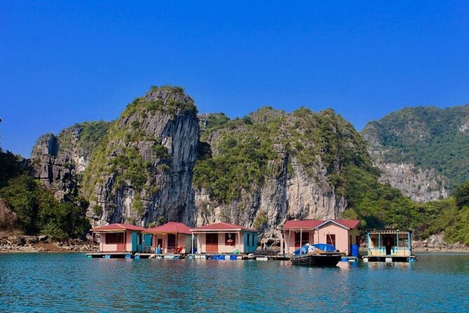 Bai Tu Long Bay 2 Day 1 Night Cruise - Meals, cooking class, and the evening on board