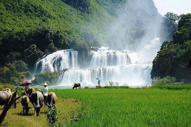 Ban Gioc Waterfall 3 Days 2 Nights From Hanoi - Is the Ban Gioc Waterfall tour worth booking?