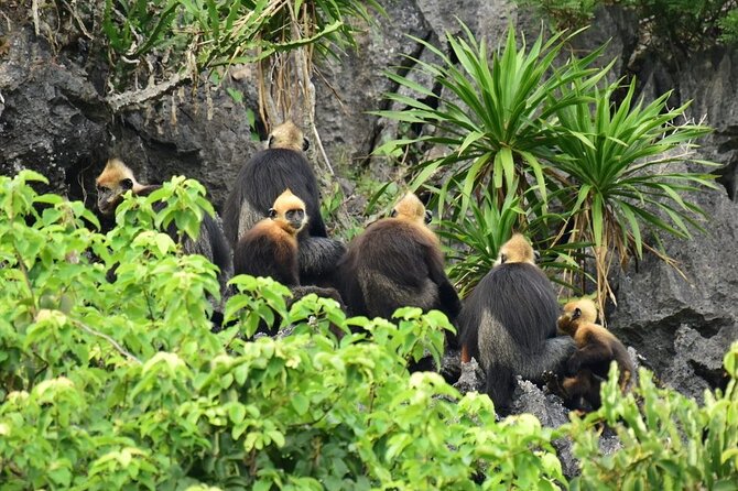 BEST UNIQUE 3-Day Halong Bay Cruise, Lan Ha & Cat Ba Island - Returning to Hanoi by boat, bus, and ferry