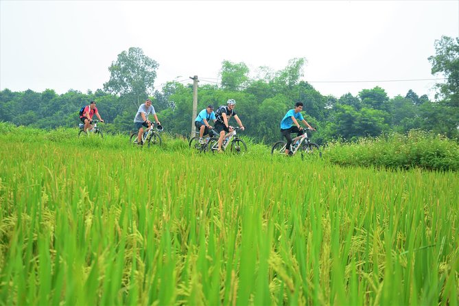 Bicycle Tours Hanoi: Full Day Bicycle Tour Hanoi Countryside - Following the Red River through Dong Anh