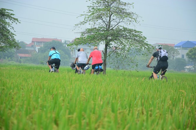 Bicycle Tours Hanoi: Full Day Bicycle Tour Hanoi Countryside - Visiting a bonsai family in Lai Da