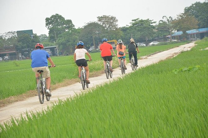 Bicycle Tours Hanoi: Full Day Bicycle Tour Hanoi Countryside - Reaching Co Loa Citadel by bicycle
