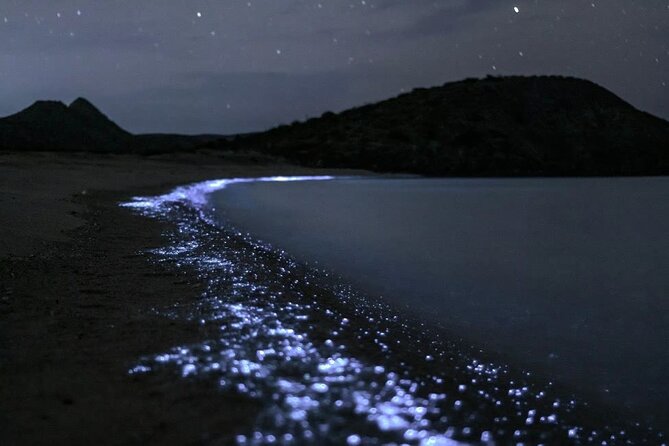 Bioluminescent Plankton Kayak Boat Tour - Key points to know before you book