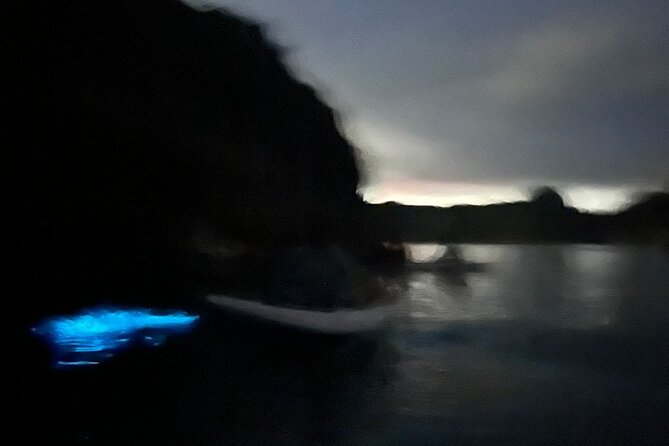 Bioluminescent Plankton Kayak Boat Tour - Swimming and monkeys at Monkey Island