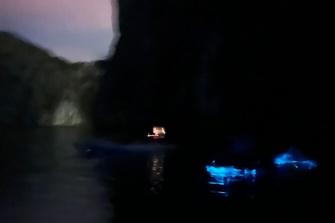 Bioluminescent Plankton Kayak Boat Tour - Dinner at Alibaba’s family-owned restaurant