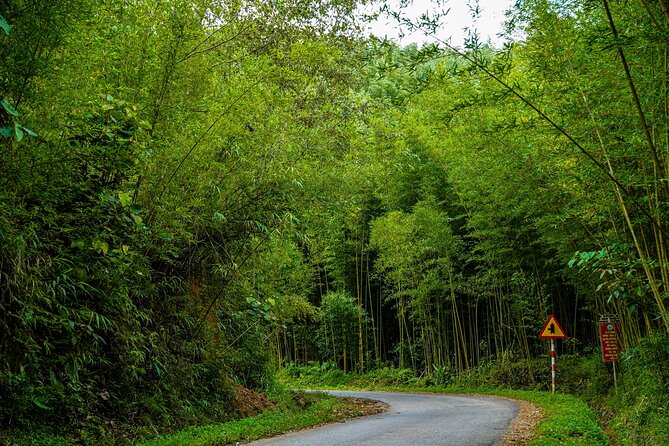 Cao Bang Loop 3 Days Easy Rider with The Loop Tours - Why Cao Bang works so well by motorbike