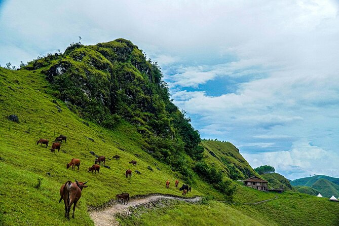 Cao Bang Loop 3 Days Easy Rider with The Loop Tours - Homestays, meals, and the social side of the route