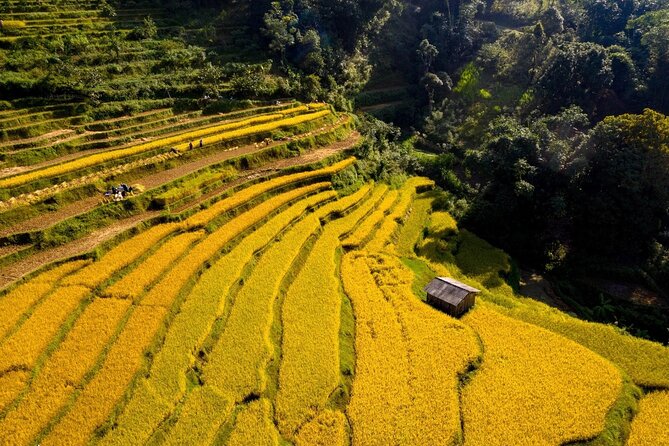 Cao Bang Loop Tour 3D2N by Motorbike, Car or Jeep - Ma Phuc Pass and Phia Thap’s incense craft