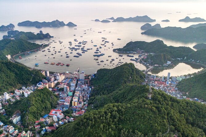 Cat Ba Cruise 2 Days 1 Night - Why Lan Ha Bay is the focus