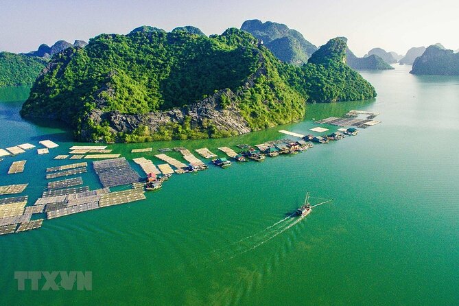 Cat Ba Cruise 2 Days 1 Night - Day 2: cycling through Viet Hai Village