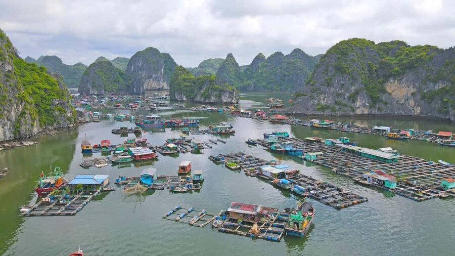 Cat Ba/Ha Noi: Lan Ha and Monkey Island Full Day Boat Trip - Lunch onboard, with time to slow down