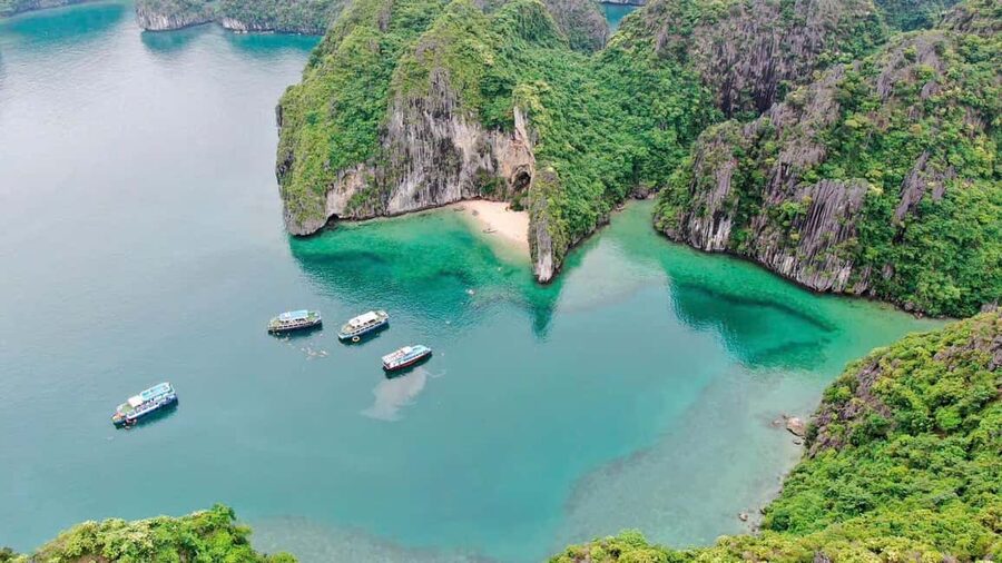 Cat Ba/Ha Noi: Lan Ha and Monkey Island Full Day Boat Trip - Monkey Island: monkeys, views, and an optional climb