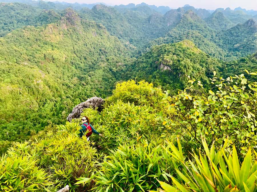 Cat Ba: Lan Ha Bay Halfday Cruise with Kayaking - Key points to know before booking