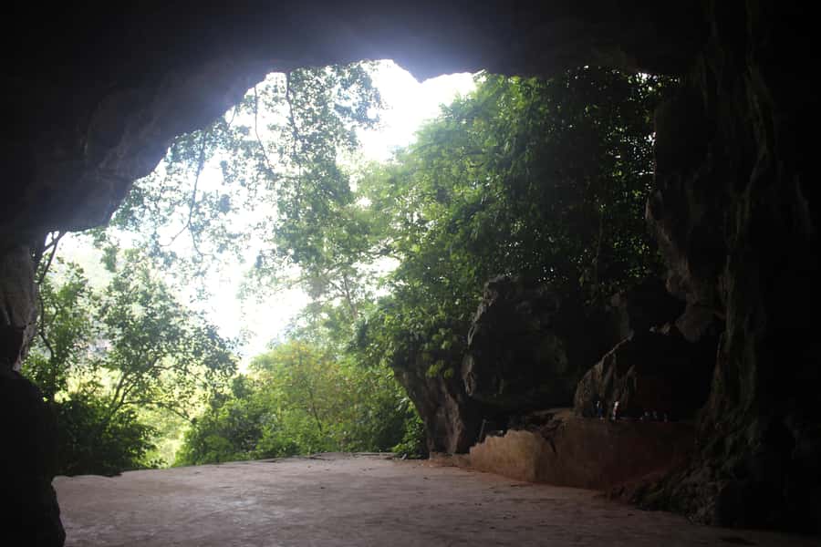 Cat Ba: Lan Ha Bay Halfday Cruise with Kayaking - Swimming in the emerald water