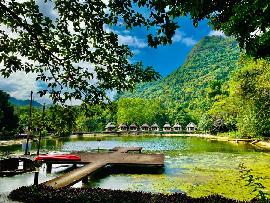 Cat Ba: Lan Ha Bay Halfday Cruise with Kayaking - Who will enjoy this half-day cruise