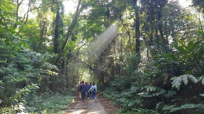Cat Ba: National Park Day Trip with Cycling and Kayaking - Cycling from Viet Hai to the harbor