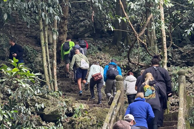 CUC Phuong National Park One Day Small Group - The 20-kilometer road through primary forest
