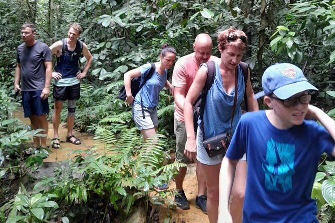 CUC Phuong National Park One Day Small Group - Small-group transport and the value of $50