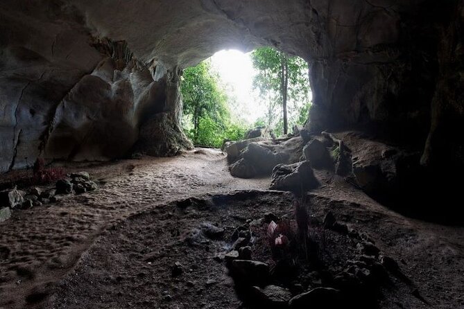 Cuc Phuong National Park Private Day Tour: Trekking & Primates - How the $99 price works out