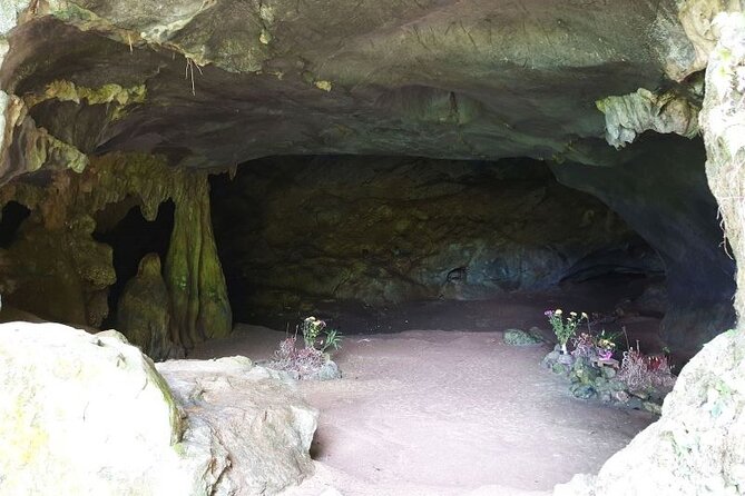 Cuc Phuong National Park Private Day Tour: Trekking & Primates - Who will enjoy this day most