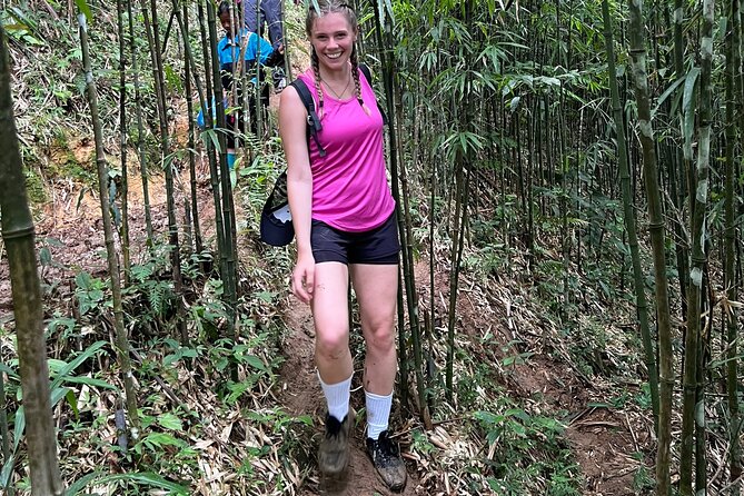 Daily Tour: Sapa Trekking in Muong Hoa valley, Bamboo forest - The path between Lao Chai and Ta Van