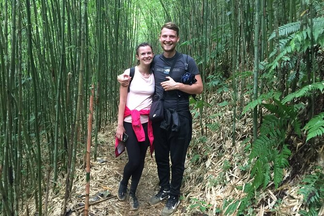 Daily Tour: Sapa Trekking in Muong Hoa valley, Bamboo forest - Bamboo forest and the approach to Giang Ta Chai