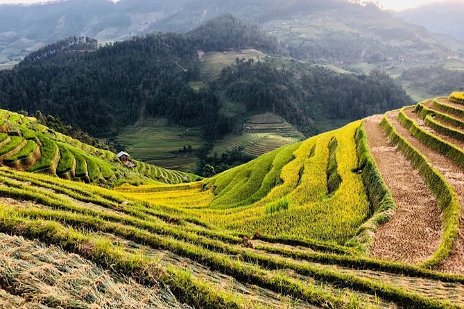 Discover the Beauty of Sa Pa: A One-Day Trek - Ta Van: a village along streams and slopes