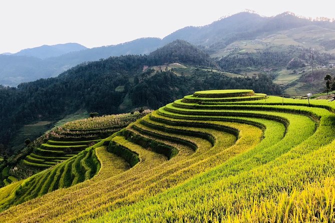 Discover the Beauty of Sa Pa: A One-Day Trek - What the guides add to the day