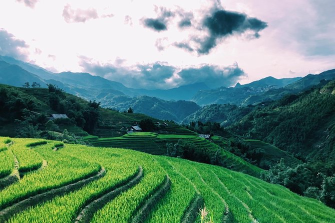 Discover the Beauty of Sa Pa: A One-Day Trek - Lunch, water, and the ride back