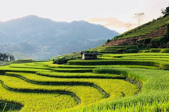 Discover the Beauty of Sa Pa: A One-Day Trek - Y Linh Ho: the quiet first stop
