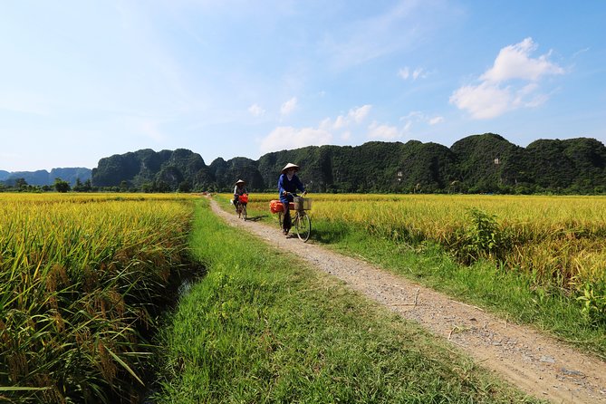 Discover Trang An Natural World Heritage, Bich Dong Pagoda, Cycling Day Tour - Who will get the most from this tour