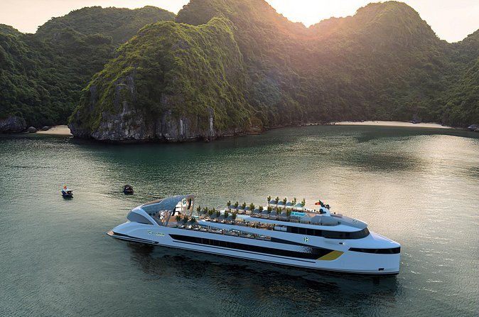Dolphin Cruise – Experience Halong Bay in Timeless Luxury - Is $76.80 good value?