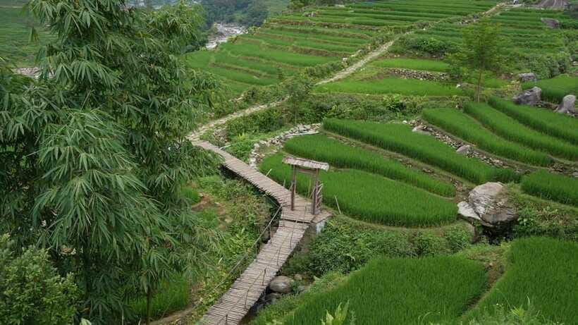 Easy Trek in Sapa mountain : Y Linh Ho - Lao Chai - Ta Van - How hard is the so-called easy trek?