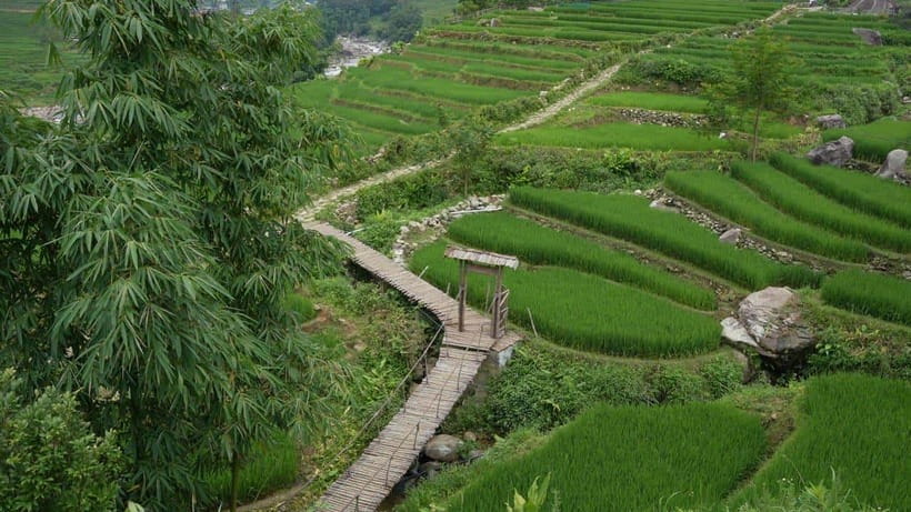 Easy Trek in Sapa mountain : Y Linh Ho - Lao Chai - Ta Van - From Cat Gat road to the Muong Hoa hanging bridge