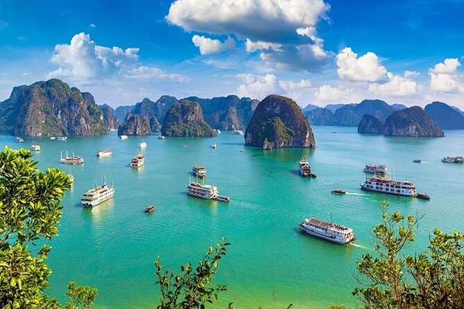 Elite of The Seas - Top Vip Luxury Cruise in Halong Bay ( 2D1N ) - Lunch and the return to Tuan Chau Harbor