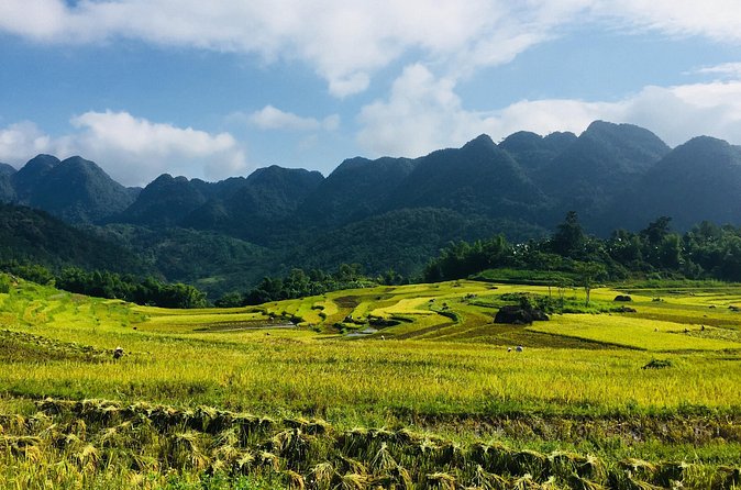 Explore Mai Chau - Pu Luong - Ninh Binh 4 Days / 3 Nights - Guides, group size, and the feel of the trip