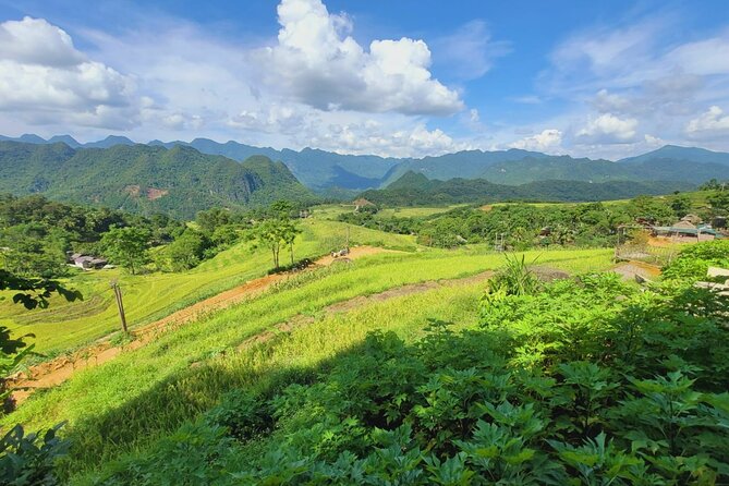 Explore Rice Terrace Pu Luong Ninh Binh Ha Long 4 Days 3 Night - Should you book this four-day tour?