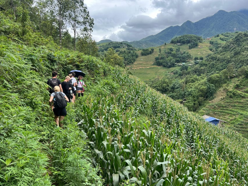 Explore Sapa by TrekkingAdventures, Mountain,Rice fields - Lao Chai, local food, and Black Hmong life