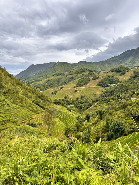 Explore Sapa by TrekkingAdventures, Mountain,Rice fields - From Lao Chai to Ta Van by field paths