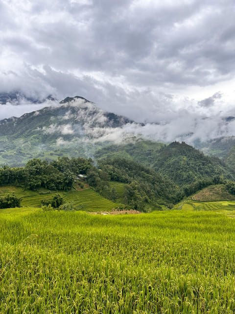 Explore Sapa by TrekkingAdventures, Mountain,Rice fields - Y Linh Ho and the first steep descent