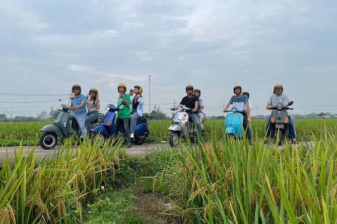 Exploring Vespa Tour Through Little Red River Delta - Riding Through Rice Fields and Village Roads