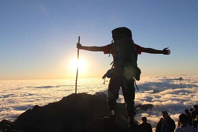 Fansipan Mount Trekking 1 Day - The climb itself: demanding, not technical
