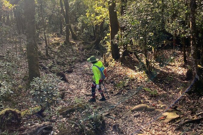 Fansipan Summit Challenge - The final push reaches Fansipan at 3,143 meters