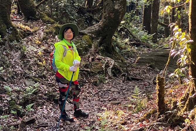 Fansipan Summit Challenge - The three-hour descent is easier, but not effortless