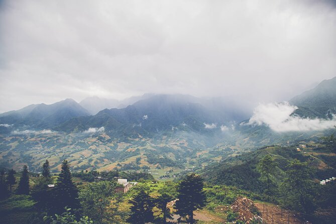 Fansipan Summit Challenge - Rainforest and bamboo trails reveal the mountain’s character