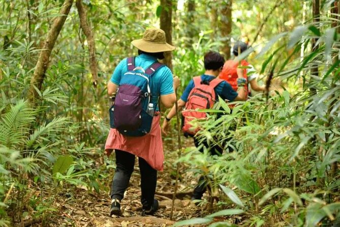 Fansipan Trek One Day Tour – Roof of Indochina - Returning to Sapa between 4 PM and 5:30 PM