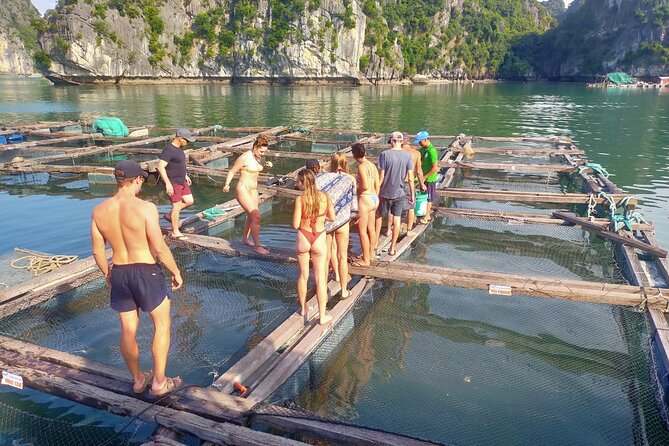From Ha Noi/Cat Ba: Full-Day Cruise to Lan Ha bay - Ha Long Bay - Why this route works so well from Cat Ba