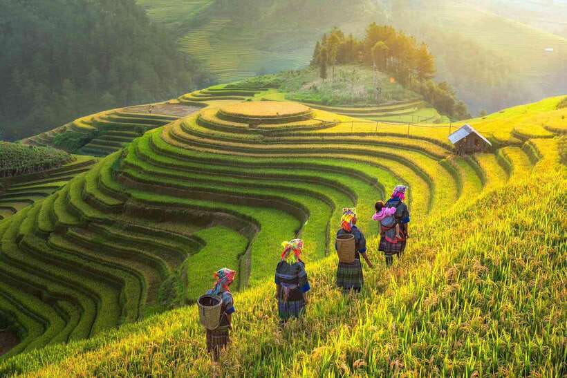 From Hanoi: 1-day Sapa Trekking Tour With Overnight Bus - Lao Chai and the Black H’mong community